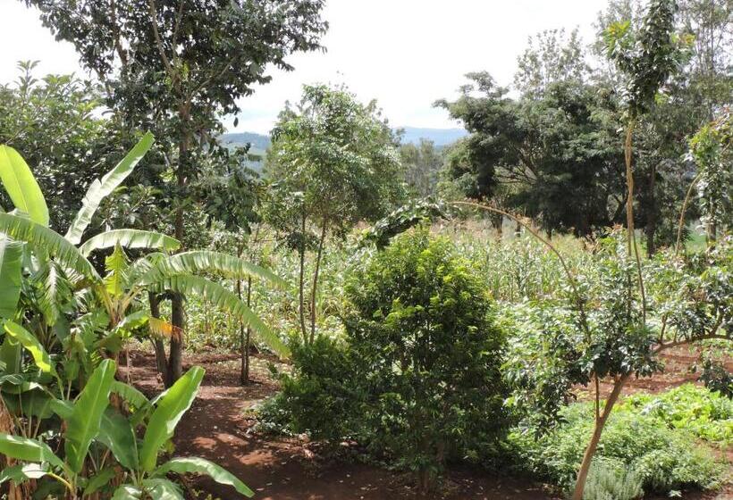 فندق Upendo Safari Lodge