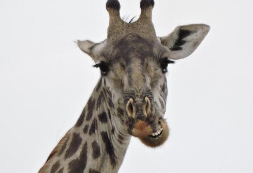 فندق Upendo Safari Lodge