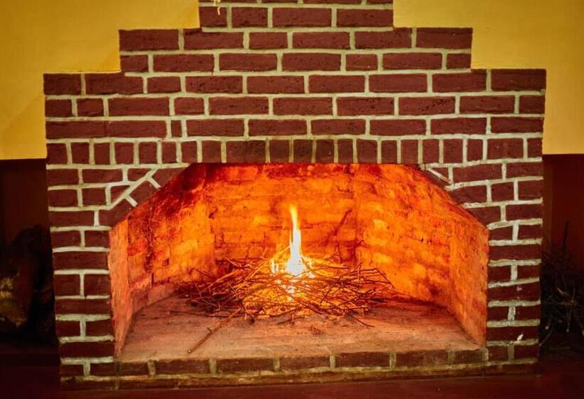 ホテル Upendo Safari Lodge