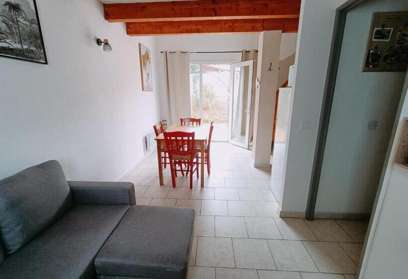 La Cour Des Miracles