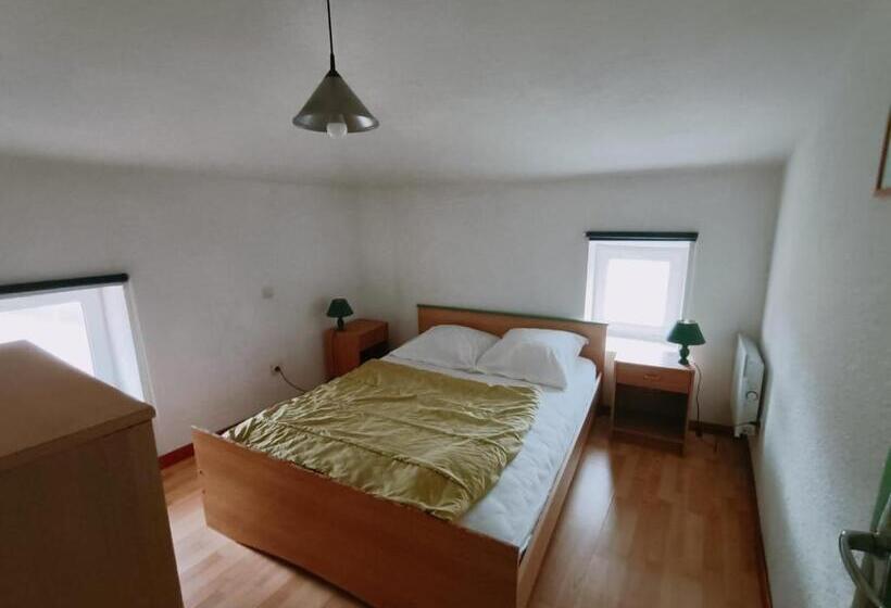 La Cour Des Miracles