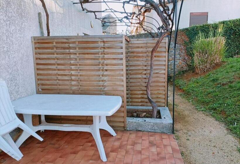 La Cour Des Miracles