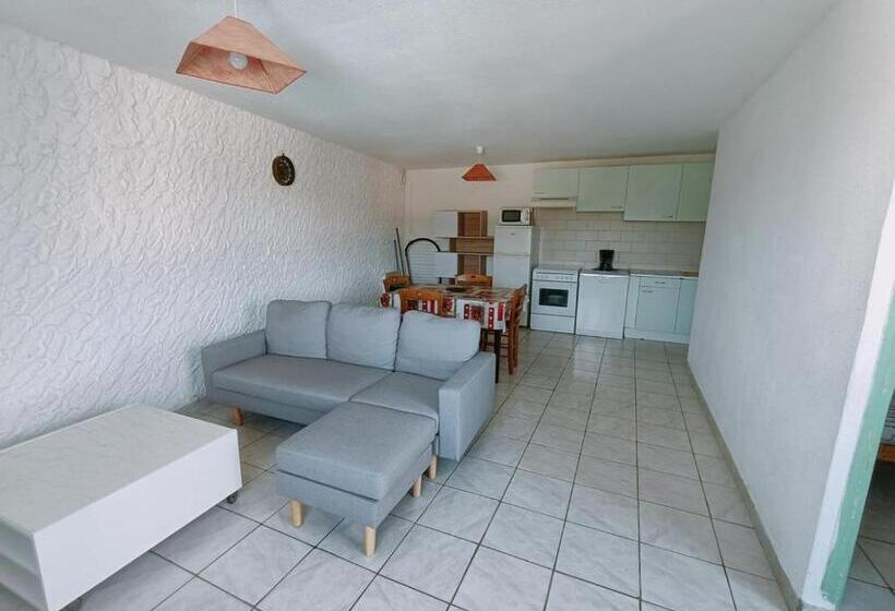 La Cour Des Miracles