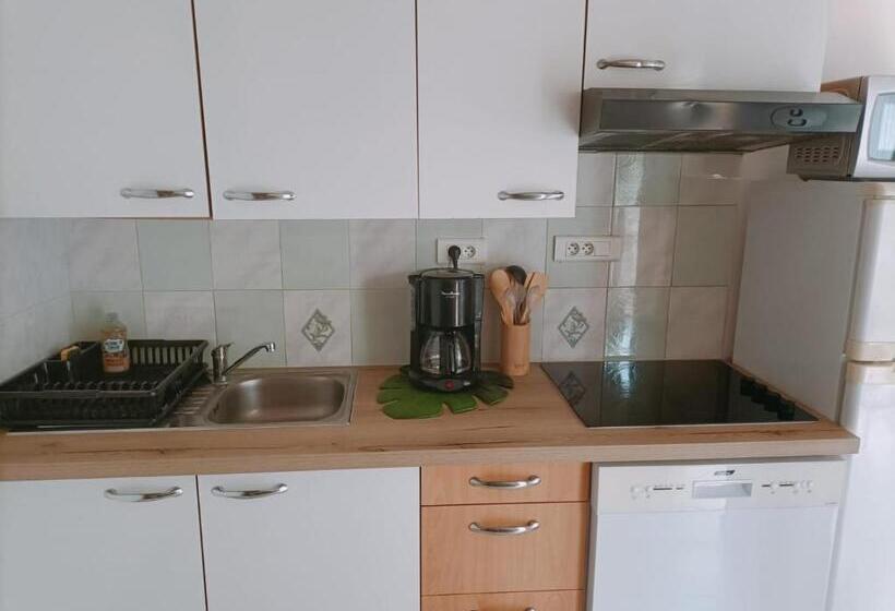 La Cour Des Miracles