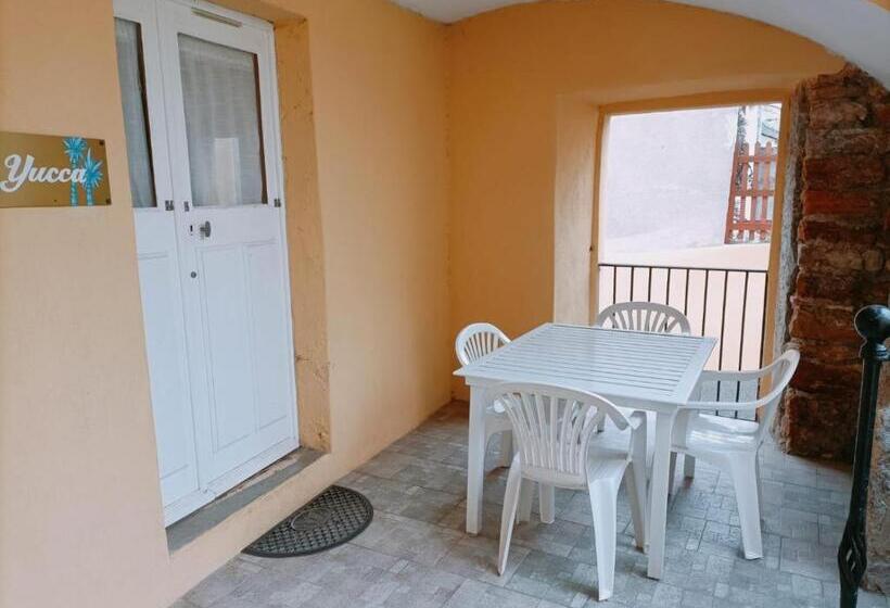 La Cour Des Miracles