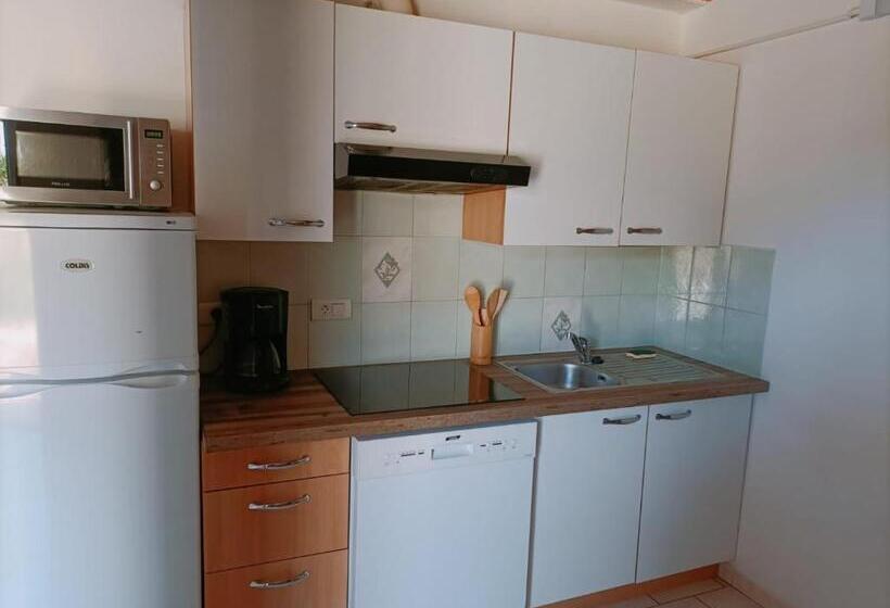 La Cour Des Miracles