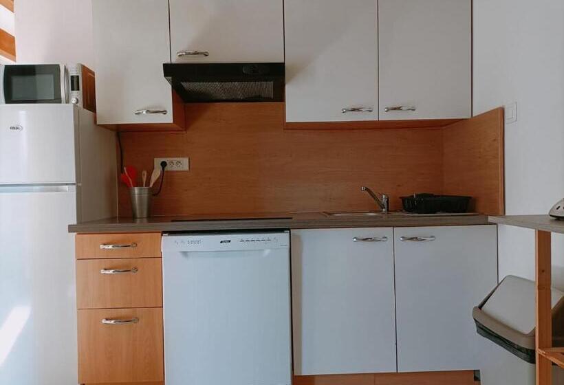 La Cour Des Miracles