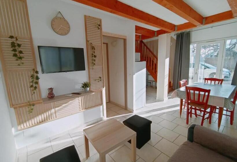 La Cour Des Miracles