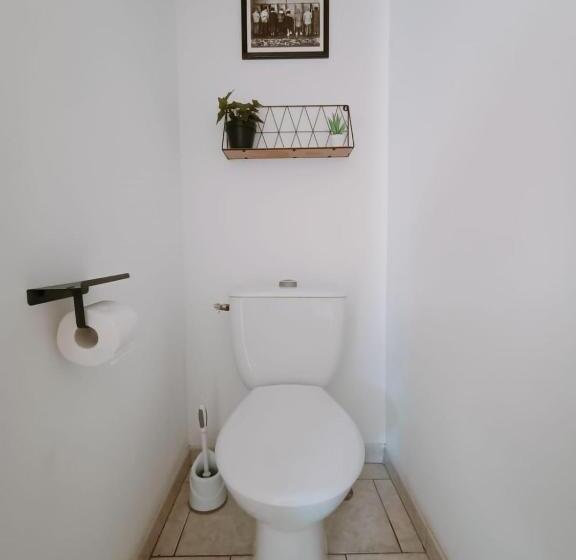 La Cour Des Miracles