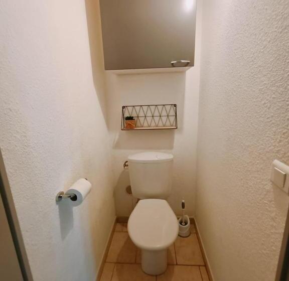 La Cour Des Miracles