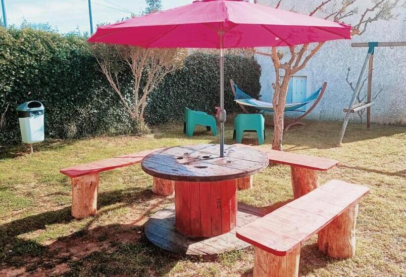 La Cour Des Miracles