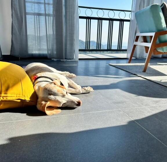 ënxë Hotel Boutique