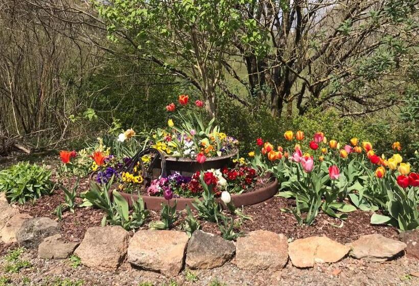 Papillons B&b   Beauty, Comfort And Peace 25 Mins From Puy Du Fou