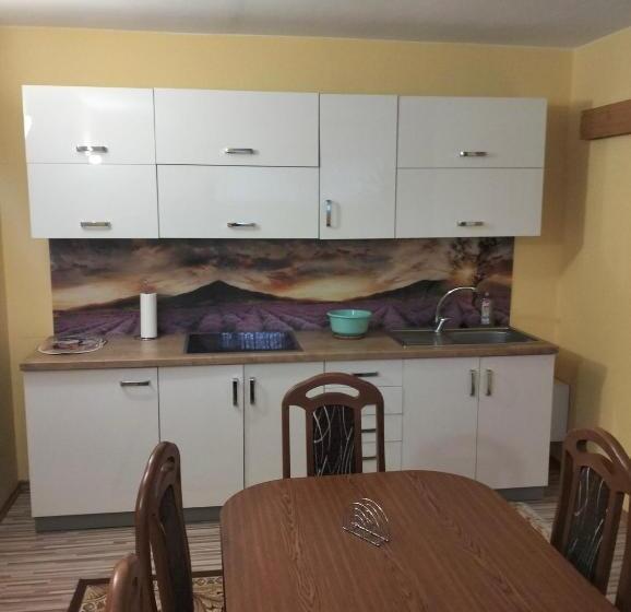 פנסיון A Privat