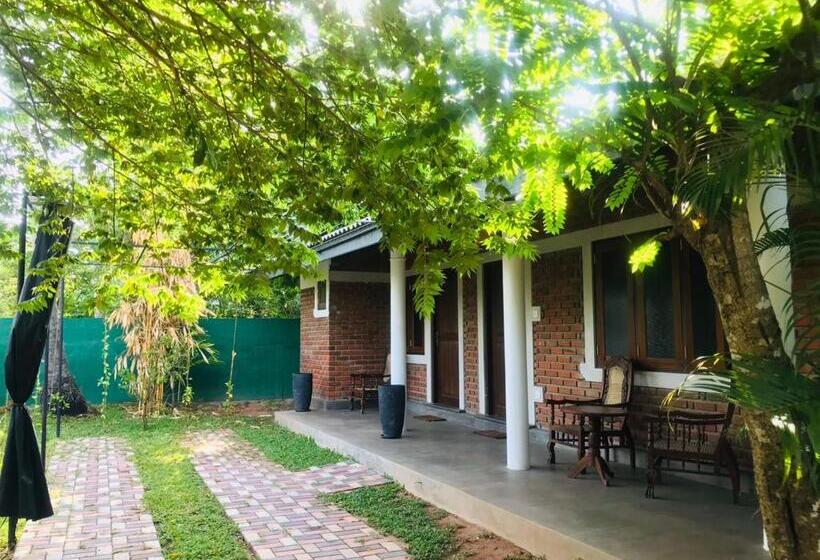 膳宿费 Euro Star Holiday Inn