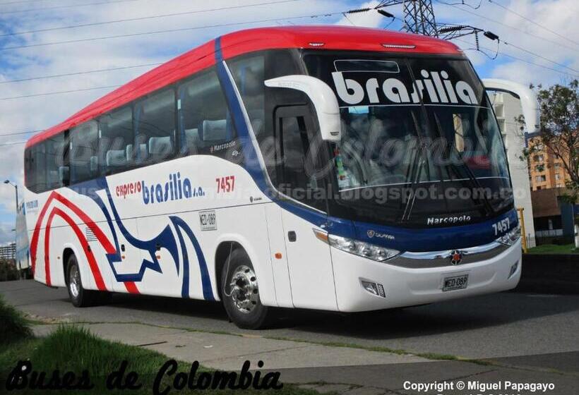 Пансион Hospedaje Las Moras