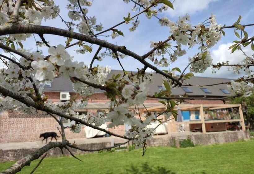 بنسيون Le Domaine Du Mesnil