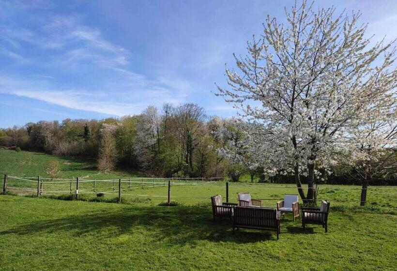 بنسيون Le Domaine Du Mesnil