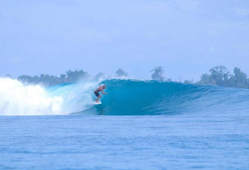 پانسیون Toro Simalatcat Surfcamp