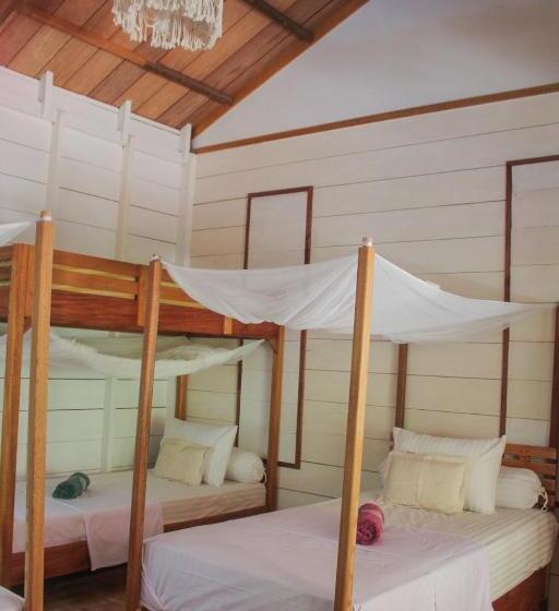 膳宿费 Toro Simalatcat Surfcamp