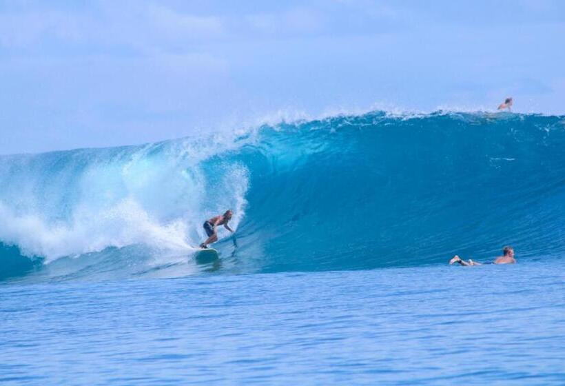 膳宿费 Toro Simalatcat Surfcamp