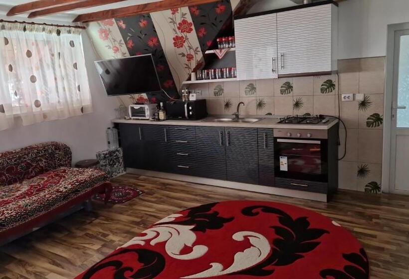 פנסיון Casa Tru