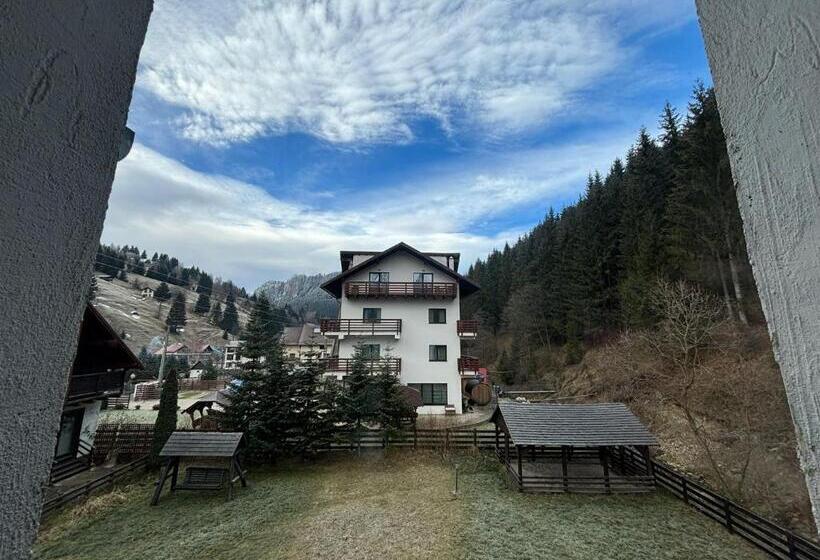 بنسيون Vila Residence