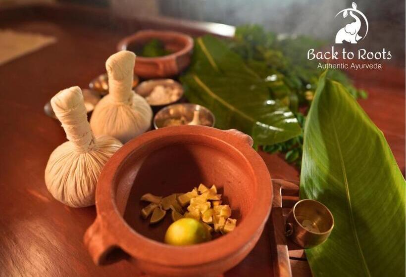 リゾートホテル Back To Roots Ayurveda Retreat