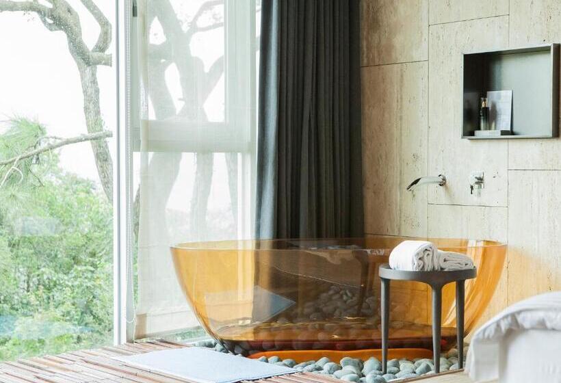 استراحتگاه The Forest Museum