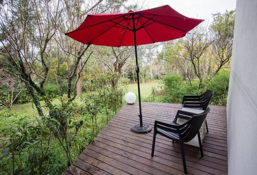 استراحتگاه The Forest Museum