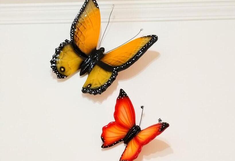 Suleima B&b Messina Centro