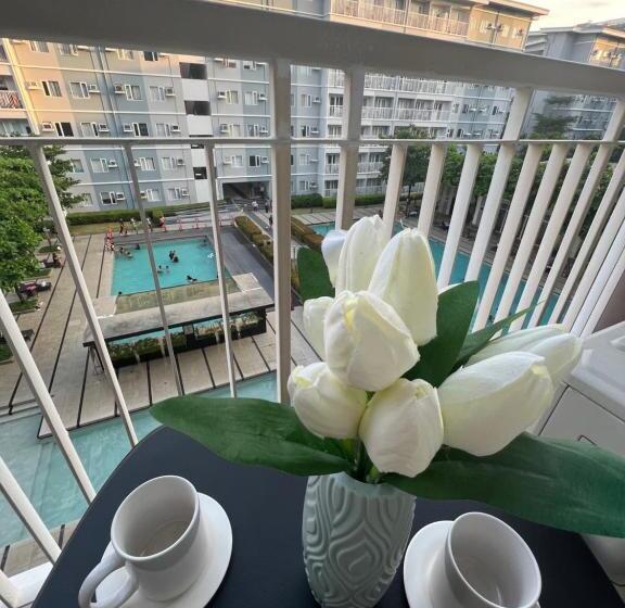 Trees Marias Affordable Staycation In Quezon City