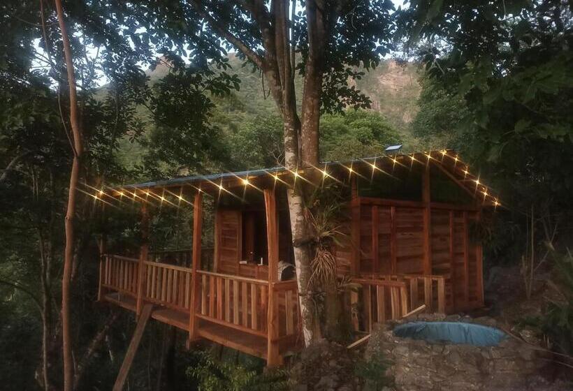 旅馆 Cabaña Villeta Gualanday Purple Flower