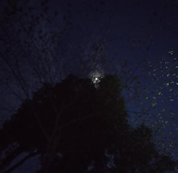 旅馆 Cabaña Villeta Gualanday Purple Flower