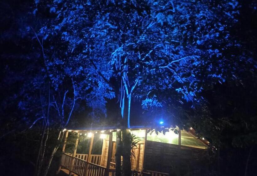 旅馆 Cabaña Villeta Gualanday Purple Flower