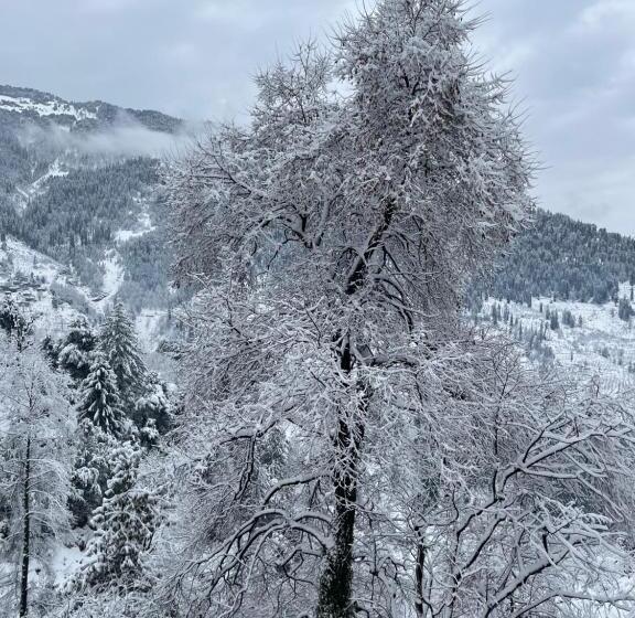 호스텔 Flüstern Homestay