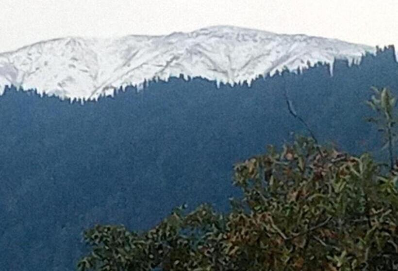 ユースホステル Gulmarg View Cottage