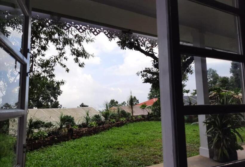 Bed and Breakfast Aaravi Garden Homestay