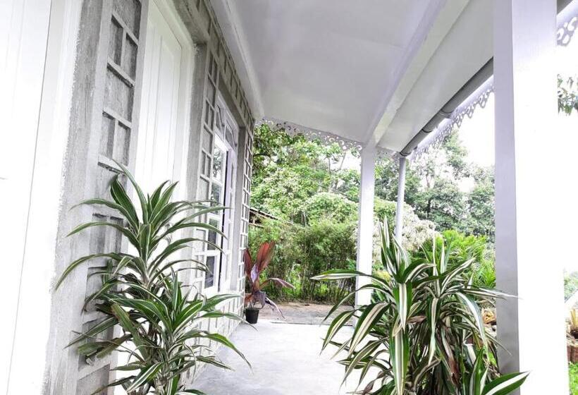 Bed and Breakfast Aaravi Garden Homestay