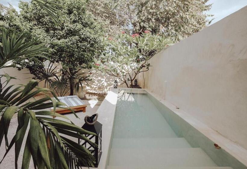 Bed and Breakfast Boutique Kaa