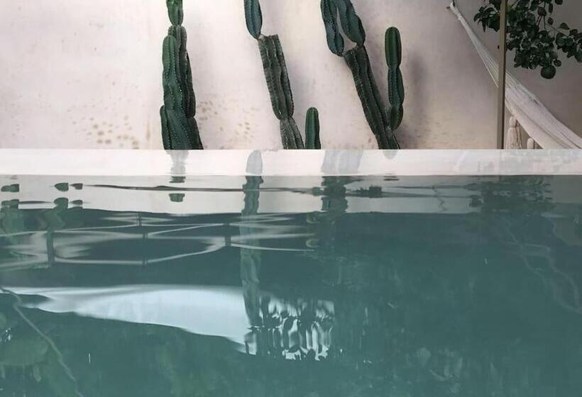 Bed and Breakfast Boutique Kaa