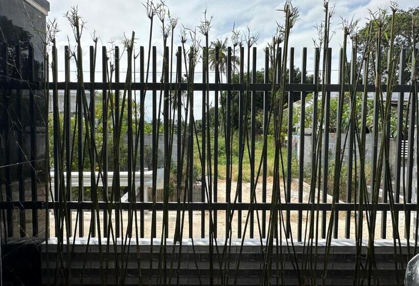 تختخواب و صبحانه Cát Tú Homestay