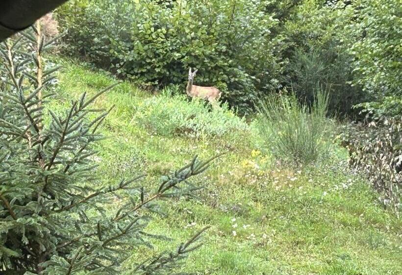 Bed and Breakfast Escargot De Neige