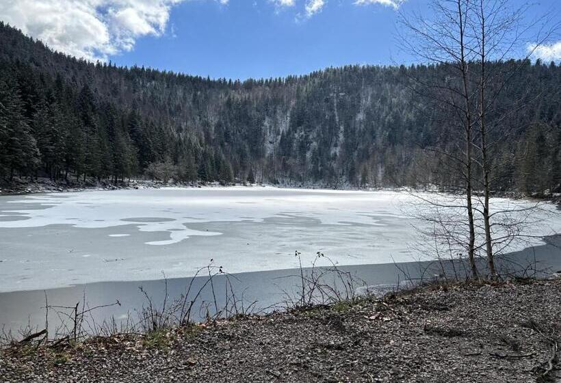 Bed and Breakfast Escargot De Neige
