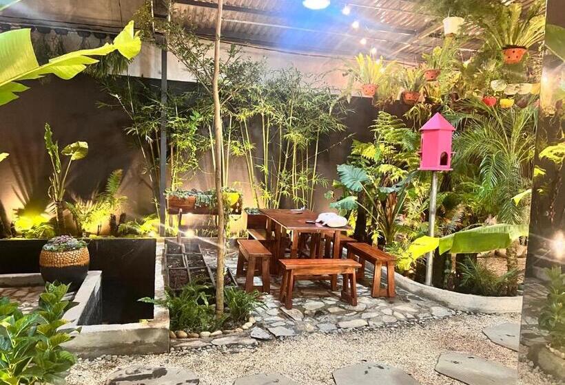 تختخواب و صبحانه Kim đồng Homestay