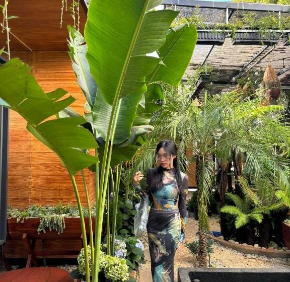 تختخواب و صبحانه Kim đồng Homestay