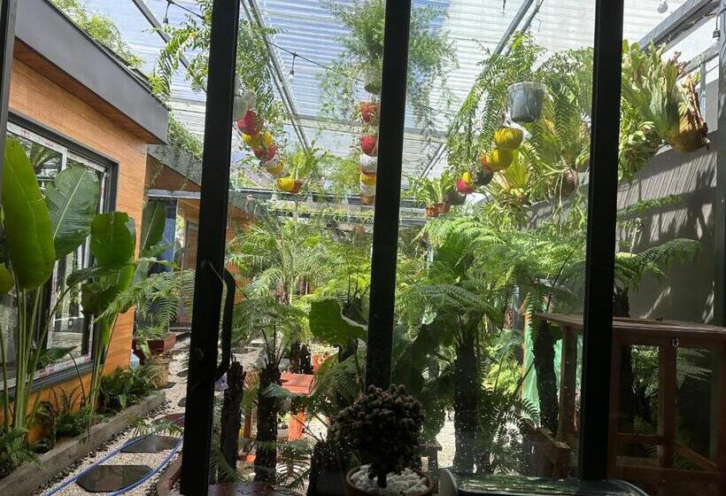 تختخواب و صبحانه Kim đồng Homestay