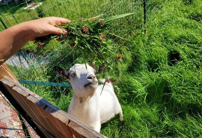 Bed and Breakfast My Zen Thal