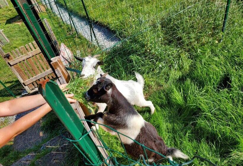 Bed and Breakfast My Zen Thal