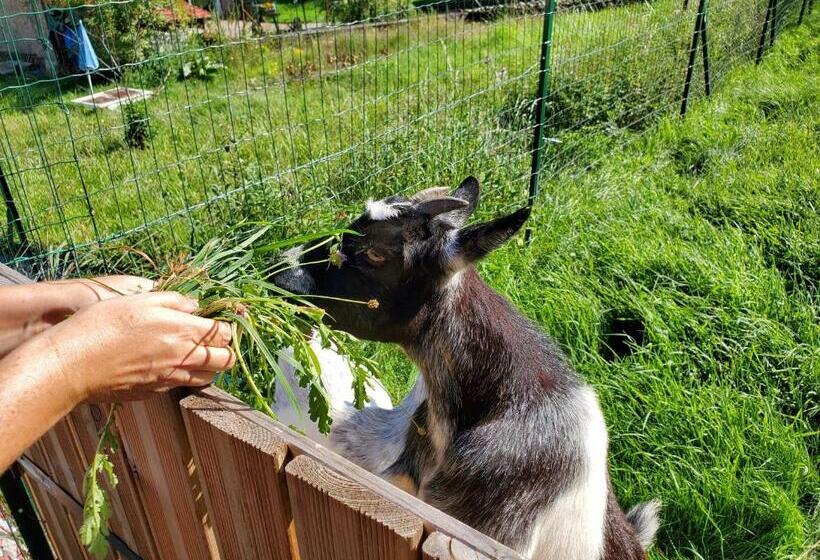 Bed and Breakfast My Zen Thal